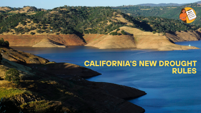 California's New Drought Rules: What Homeowners Need to Know about Water Conservation