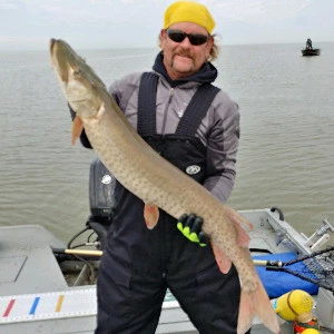 Houmify profile page