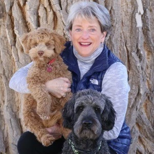 houmify agent avatar